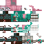 Skin